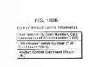 Fig. 191 - Communication device for performing wireless communication with an external server based on information received via near field communication