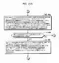 Fig. 256 - Communication device for performing wireless communication with an external server based on information received via near field communication