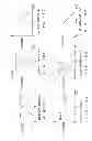Fig. 19 - Shooting device, image processing method, and recording medium