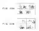 Fig. 32 - Shooting device, image processing method, and recording medium