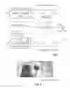 Fig. 02 - Object authentication