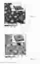 Fig. 08 - METHOD FOR FABRICATION OF LOCALIZED PLASMON TRANSDUCERS