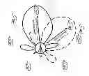 Fig. 01 - Method for operating a wireless network, a wireless network and a device