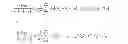Fig. 13 - Modified maximum likelihood channel estimation