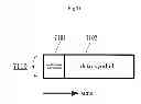 Fig. 72 - Method and apparatus for generating modulation signals