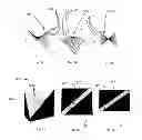 Fig. 05 - Variable angle collimator