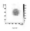 Fig. 04 - Upstream direct x-ray detection