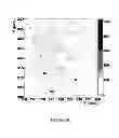 Fig. 09 - Upstream direct x-ray detection