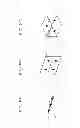 Fig. 06 - METHOD FOR GENERATING AND CONSUMING 3-D AUDIO SCENE WITH EXTENDED SPATIALITY OF SOUND SOURCE