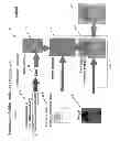 Fig. 05 - Method and apparatus for generating and authenticating security documents