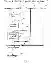 Fig. 07 - Method and apparatus for generating and authenticating security documents