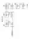 Fig. 03 - Apparatus, image processing method and storage medium storing program