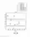 Fig. 11 - Kalman filter approach to augment object tracking