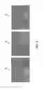Fig. 09 - Image processing device and image processing method for processing images using memory-efficient principal component analysis