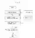 Fig. 07 - Apparatus and method for managing an object extracted from image data
