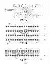 Fig. 06 - Pixel-adaptive interpolation algorithm for image upscaling