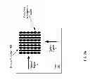 Fig. 14 - Method and system for grating couplers incorporating perturbed waveguides