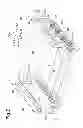 Fig. 03 - Image forming apparatus