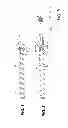 Fig. 02 - Rock Bolt