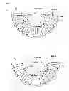 Fig. 08 - Fixed blade assembly usable in exhaust pump, and exhaust pump provided with same