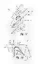 Fig. 03 - COMPOSITE AIRFOIL WITH INTEGRAL PLATFORM