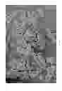 Fig. 05 - Oxidized cellulose miczrospheres including visualization agents