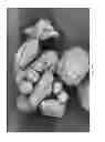 Fig. 08 - Oxidized cellulose miczrospheres including visualization agents