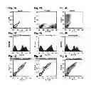 Fig. 05 - Imaging methods using engineered integrin binding peptides