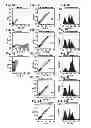Fig. 08 - Imaging methods using engineered integrin binding peptides