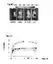 Fig. 09 - Imaging methods using engineered integrin binding peptides
