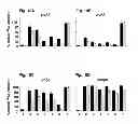 Fig. 12 - Imaging methods using engineered integrin binding peptides
