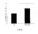Fig. 06 - TUMOR SPECIFIC ANITBODIES AND USES THEREFOR