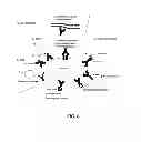 Fig. 09 - TUMOR SPECIFIC ANITBODIES AND USES THEREFOR