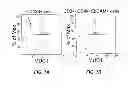 Fig. 10 - TUMOR SPECIFIC ANITBODIES AND USES THEREFOR