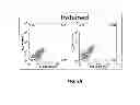 Fig. 11 - TUMOR SPECIFIC ANITBODIES AND USES THEREFOR
