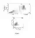 Fig. 14 - TUMOR SPECIFIC ANITBODIES AND USES THEREFOR