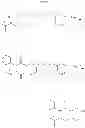 Fig. 60 - IMAGING AGENTS