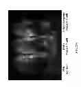 Fig. 33 - Activatable fluorogenic compounds and uses thereof as near infrared probes