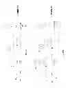 Fig. 41 - Activatable fluorogenic compounds and uses thereof as near infrared probes