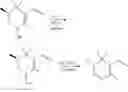 Fig. 19 - Saffron odorants
