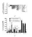 Fig. 02 - USE OF HEPATOCYTE NUCLEAR FACTOR 1A IN PREPARATION OF DRUG FOR TREATING MALIGNANT SOLID TUMOR DISEASE
