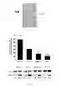 Fig. 07 - USE OF HEPATOCYTE NUCLEAR FACTOR 1A IN PREPARATION OF DRUG FOR TREATING MALIGNANT SOLID TUMOR DISEASE