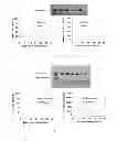 Fig. 14 - USE OF HEPATOCYTE NUCLEAR FACTOR 1A IN PREPARATION OF DRUG FOR TREATING MALIGNANT SOLID TUMOR DISEASE