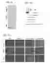 Fig. 02 - Compositions and methods for modulating EMT and uses thereof
