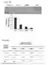 Fig. 16 - Compositions and methods for modulating EMT and uses thereof