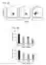Fig. 19 - Compositions and methods for modulating EMT and uses thereof