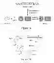 Fig. 02 - Methods for regulating protein function in cells in vivo using synthetic small molecules