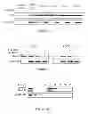 Fig. 06 - Methods for regulating protein function in cells in vivo using synthetic small molecules