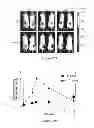 Fig. 21 - Methods for regulating protein function in cells in vivo using synthetic small molecules