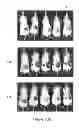 Fig. 26 - Methods for regulating protein function in cells in vivo using synthetic small molecules